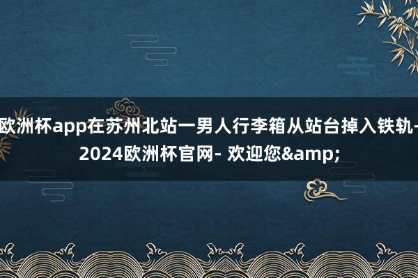 欧洲杯app在苏州北站一男人行李箱从站台掉入铁轨-2024欧洲杯官网- 欢迎您&