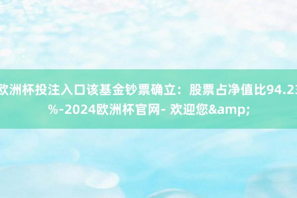 欧洲杯投注入口该基金钞票确立：股票占净值比94.23%-2024欧洲杯官网- 欢迎您&