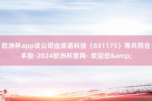欧洲杯app该公司由派诺科技（831175）等共同合手股-2024欧洲杯官网- 欢迎您&