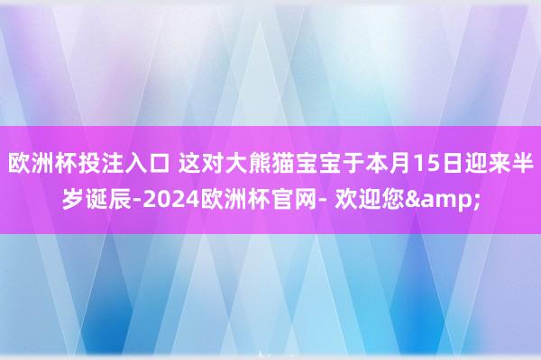 欧洲杯投注入口 　　这对大熊猫宝宝于本月15日迎来半岁诞辰-2024欧洲杯官网- 欢迎您&