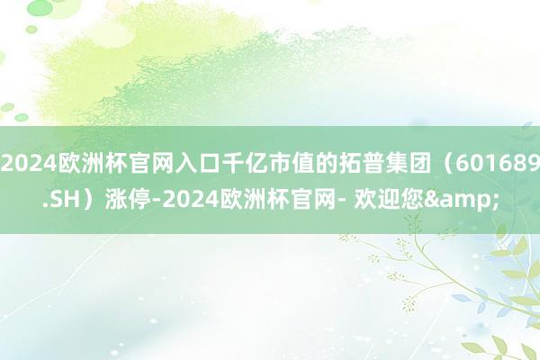 2024欧洲杯官网入口千亿市值的拓普集团（601689.SH）涨停-2024欧洲杯官网- 欢迎您&