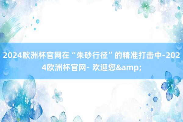 2024欧洲杯官网在“朱砂行径”的精准打击中-2024欧洲杯官网- 欢迎您&