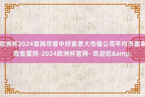 欧洲杯2024官网尽管中好意思大市值公司平均市盈率险些雷同-2024欧洲杯官网- 欢迎您&