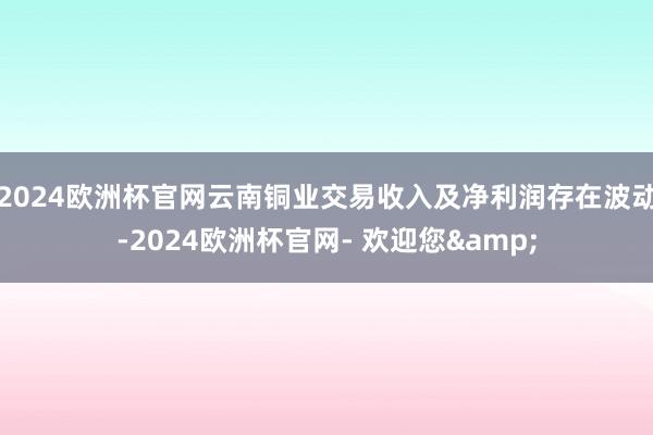 2024欧洲杯官网云南铜业交易收入及净利润存在波动-2024欧洲杯官网- 欢迎您&