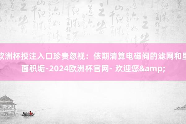 欧洲杯投注入口珍贵忽视：依期清算电磁阀的滤网和里面积垢-2024欧洲杯官网- 欢迎您&