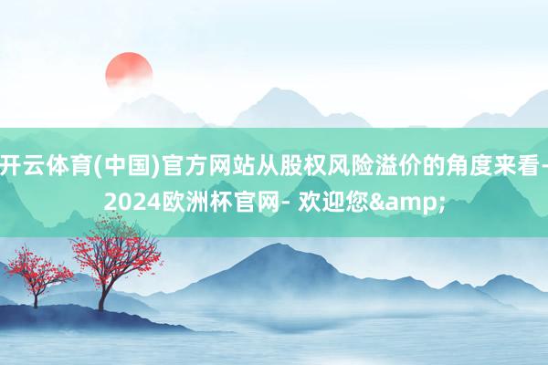 开云体育(中国)官方网站从股权风险溢价的角度来看-2024欧洲杯官网- 欢迎您&