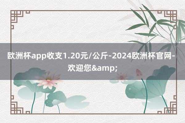 欧洲杯app收支1.20元/公斤-2024欧洲杯官网- 欢迎您&