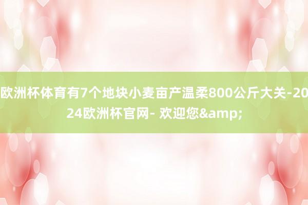 欧洲杯体育有7个地块小麦亩产温柔800公斤大关-2024欧洲杯官网- 欢迎您&
