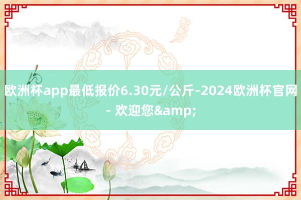 欧洲杯app最低报价6.30元/公斤-2024欧洲杯官网- 欢迎您&
