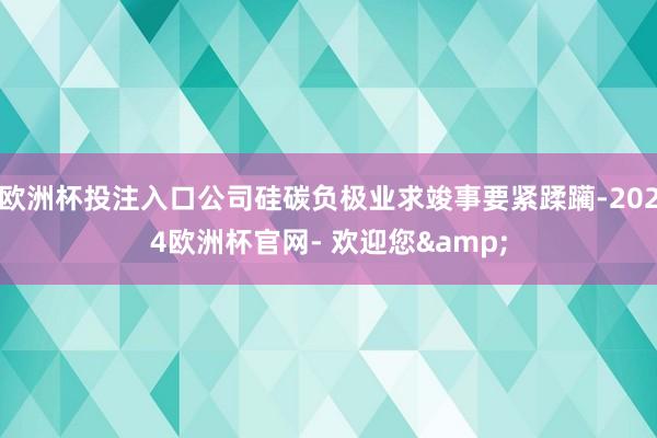 欧洲杯投注入口公司硅碳负极业求竣事要紧蹂躏-2024欧洲杯官网- 欢迎您&