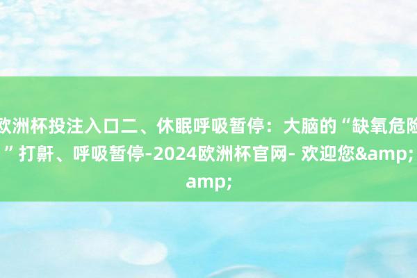 欧洲杯投注入口二、休眠呼吸暂停：大脑的“缺氧危险”打鼾、呼吸暂停-2024欧洲杯官网- 欢迎您&