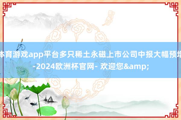 体育游戏app平台多只稀土永磁上市公司中报大幅预增-2024欧洲杯官网- 欢迎您&