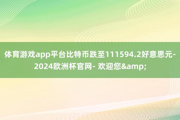 体育游戏app平台比特币跌至111594.2好意思元-2024欧洲杯官网- 欢迎您&