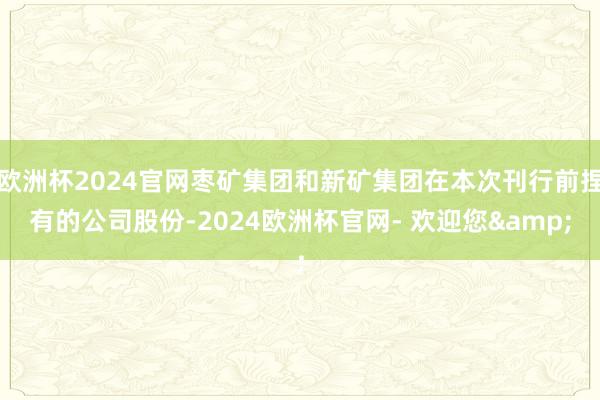 欧洲杯2024官网枣矿集团和新矿集团在本次刊行前捏有的公司股份-2024欧洲杯官网- 欢迎您&