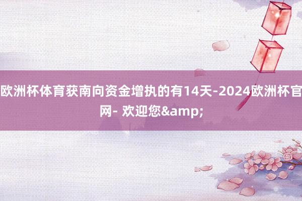 欧洲杯体育获南向资金增执的有14天-2024欧洲杯官网- 欢迎您&
