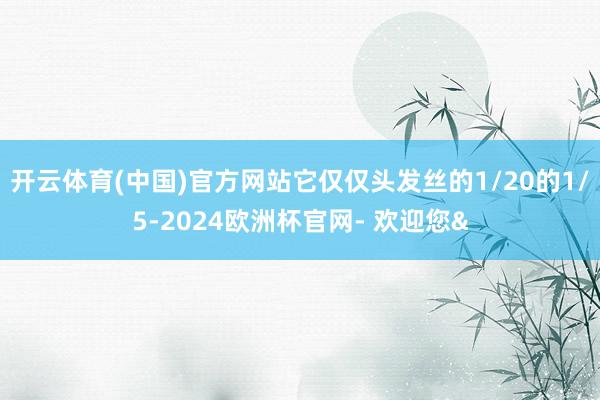 开云体育(中国)官方网站它仅仅头发丝的1/20的1/5-2024欧洲杯官网- 欢迎您&