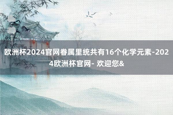 欧洲杯2024官网眷属里统共有16个化学元素-2024欧洲杯官网- 欢迎您&