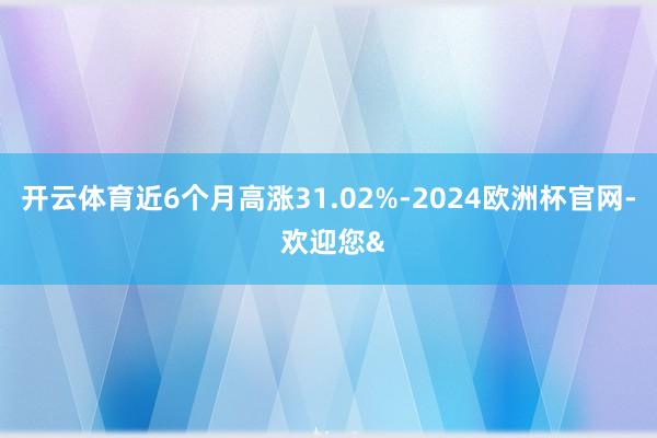 开云体育近6个月高涨31.02%-2024欧洲杯官网- 欢迎您&