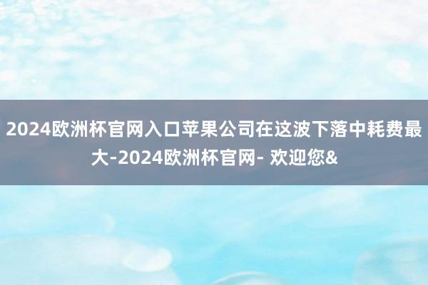 2024欧洲杯官网入口　　苹果公司在这波下落中耗费最大-2024欧洲杯官网- 欢迎您&