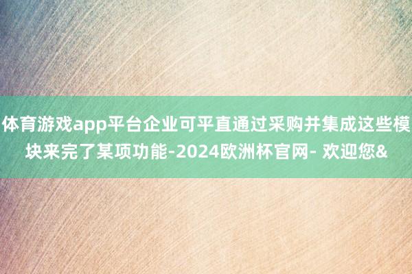 体育游戏app平台企业可平直通过采购并集成这些模块来完了某项功能-2024欧洲杯官网- 欢迎您&
