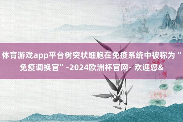 体育游戏app平台树突状细胞在免疫系统中被称为“免疫调换官”-2024欧洲杯官网- 欢迎您&