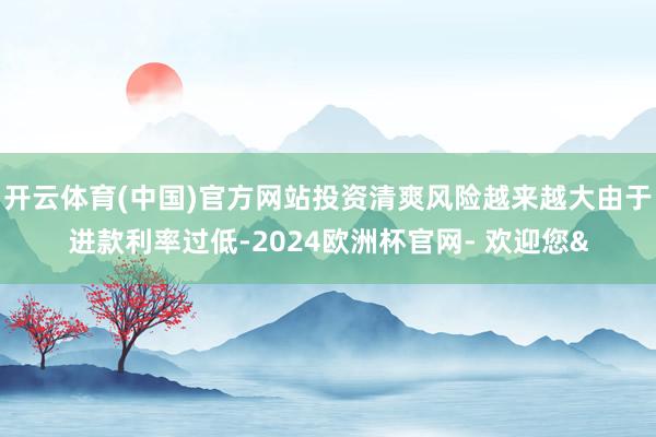 开云体育(中国)官方网站投资清爽风险越来越大由于进款利率过低-2024欧洲杯官网- 欢迎您&