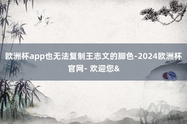 欧洲杯app也无法复制王志文的脚色-2024欧洲杯官网- 欢迎您&