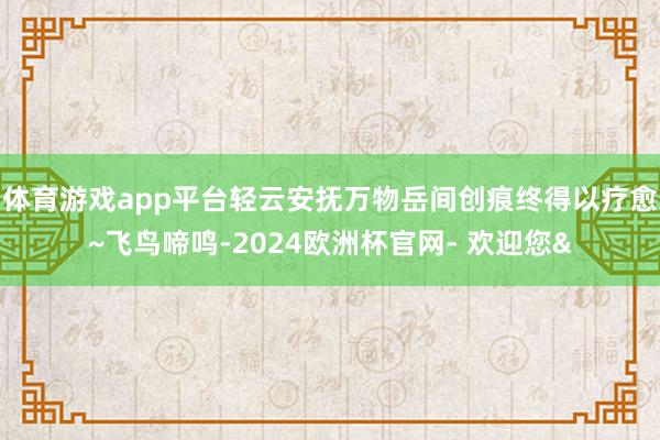 体育游戏app平台轻云安抚万物岳间创痕终得以疗愈~飞鸟啼鸣-2024欧洲杯官网- 欢迎您&