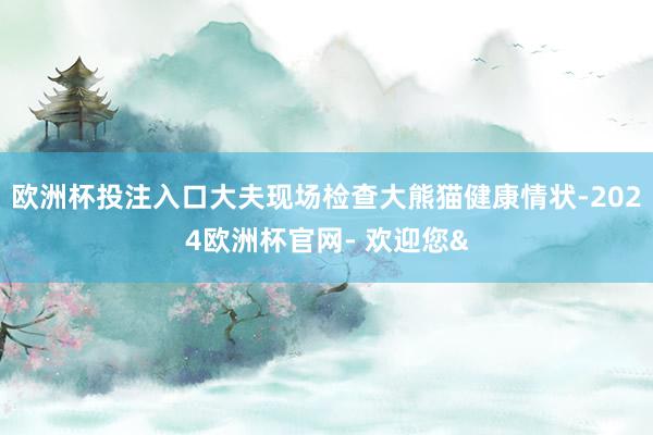 欧洲杯投注入口大夫现场检查大熊猫健康情状-2024欧洲杯官网- 欢迎您&