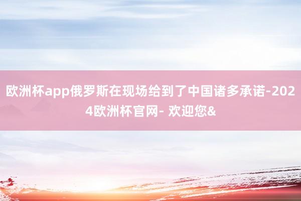 欧洲杯app俄罗斯在现场给到了中国诸多承诺-2024欧洲杯官网- 欢迎您&