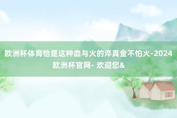欧洲杯体育恰是这种血与火的淬真金不怕火-2024欧洲杯官网- 欢迎您&
