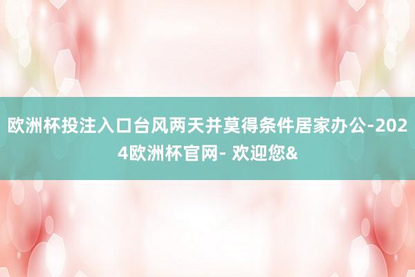 欧洲杯投注入口台风两天并莫得条件居家办公-2024欧洲杯官网- 欢迎您&