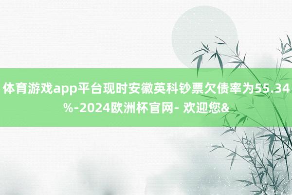 体育游戏app平台现时安徽英科钞票欠债率为55.34%-2024欧洲杯官网- 欢迎您&