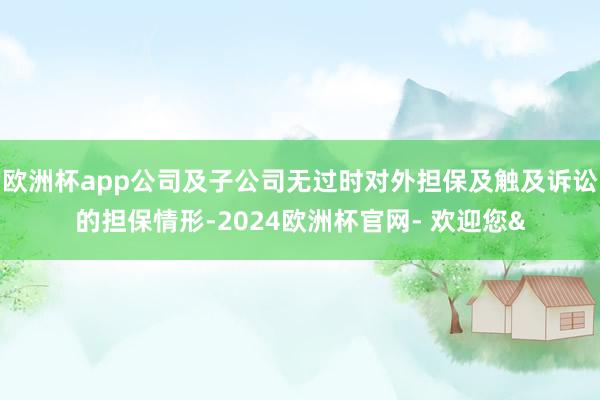 欧洲杯app公司及子公司无过时对外担保及触及诉讼的担保情形-2024欧洲杯官网- 欢迎您&