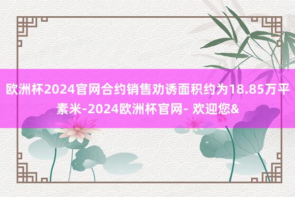 欧洲杯2024官网合约销售劝诱面积约为18.85万平素米-2024欧洲杯官网- 欢迎您&
