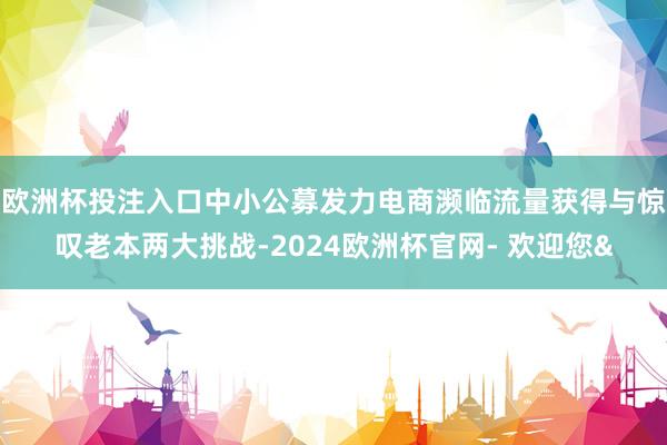 欧洲杯投注入口中小公募发力电商濒临流量获得与惊叹老本两大挑战-2024欧洲杯官网- 欢迎您&