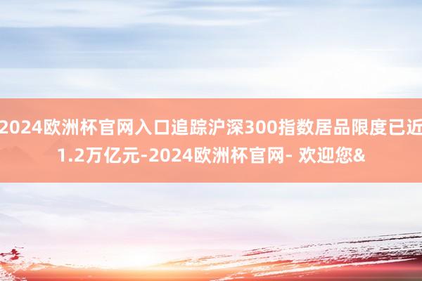 2024欧洲杯官网入口追踪沪深300指数居品限度已近1.2万亿元-2024欧洲杯官网- 欢迎您&